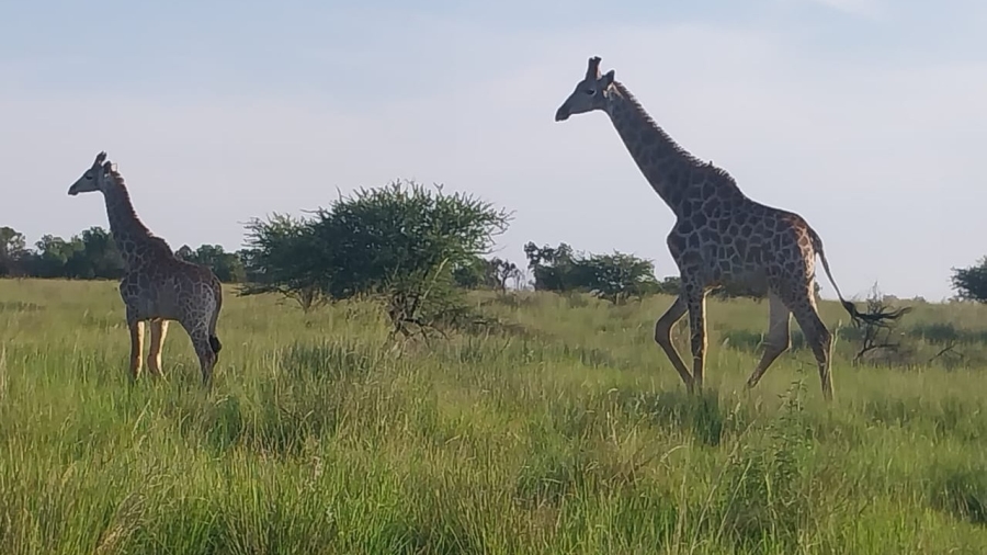 0 Bedroom Property for Sale in Rustenburg Rural North West